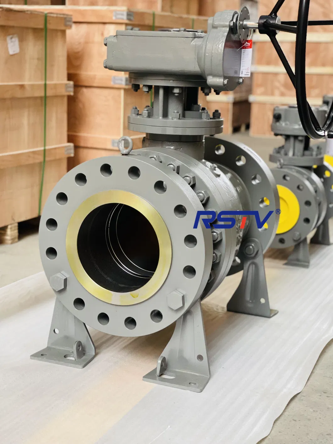 Stainless Steel/ Wcb Flange End Worm Gear/ Electric/Pneumatic Industrial Trunnion Ball Valve