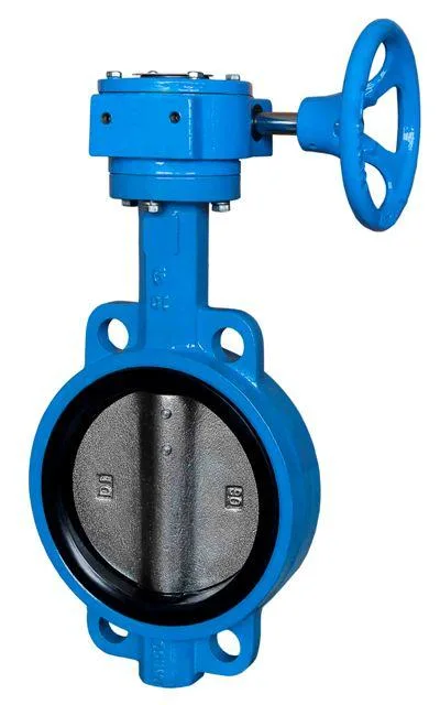 Gearbox Actuated 20 Inch Butterfly Valve Pov Valve for Irrigation