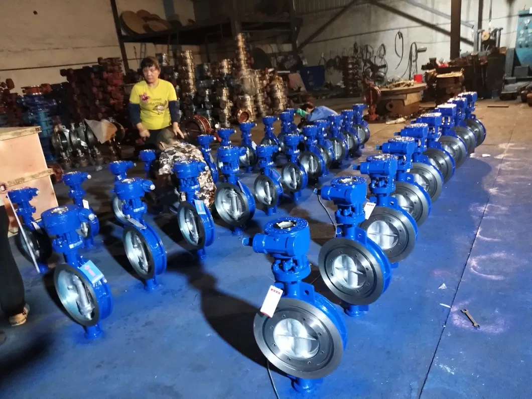 D373h/F/X-10/16/25c Triple Eccentric Worm Gear Driven Wafer Type Butterfly Valve