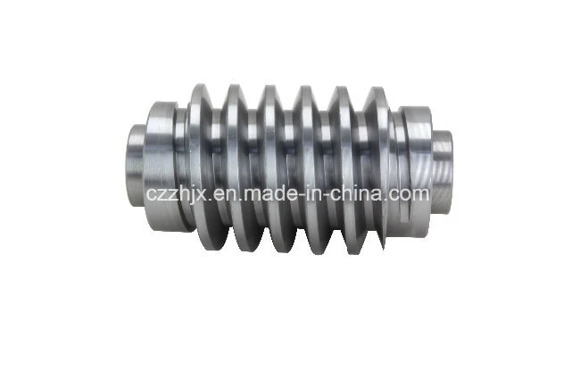 Customized Transmission Screw Shaft Gear of Worm