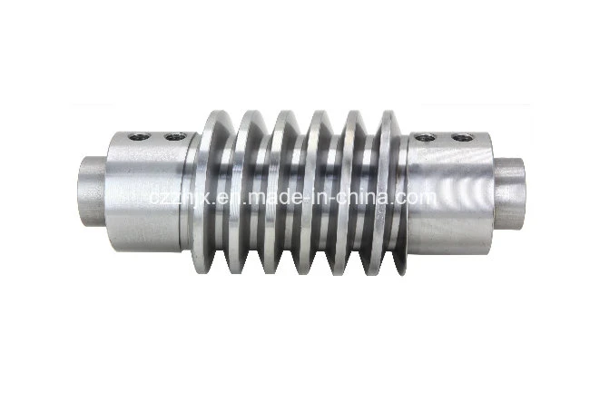 Customized Transmission Screw Shaft Gear of Worm