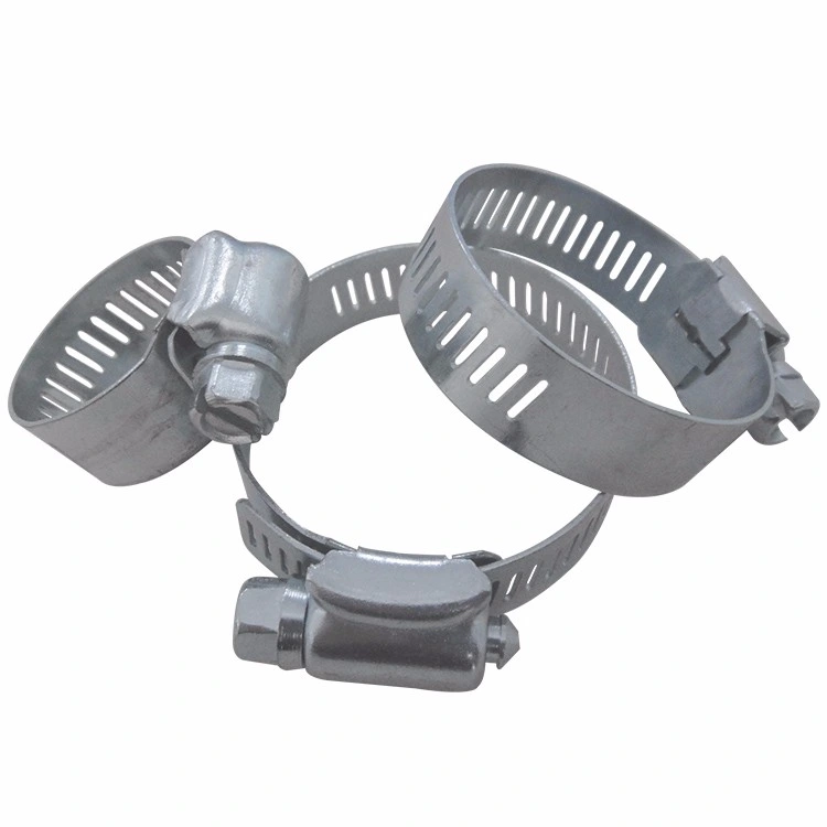 a (American) Type W1 Iron Steel Galvanized and W2 W4 Stainless Steel Preforated 8mm and 11.7mm Band Hose Pipe Worm Gear Pipe Clamp