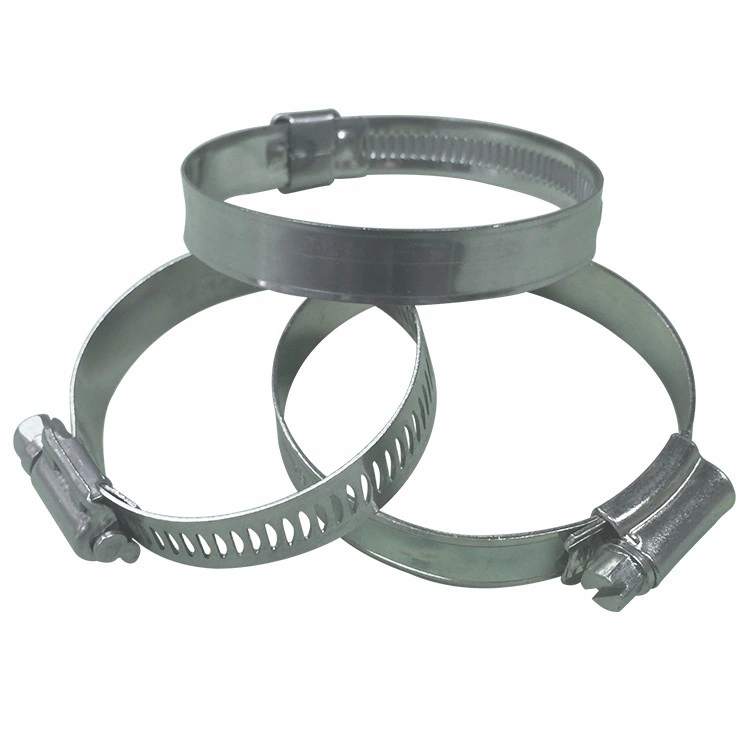 a (American) Type W1 Iron Steel Galvanized and W2 W4 Stainless Steel Preforated 8mm and 11.7mm Band Hose Pipe Worm Gear Pipe Clamp