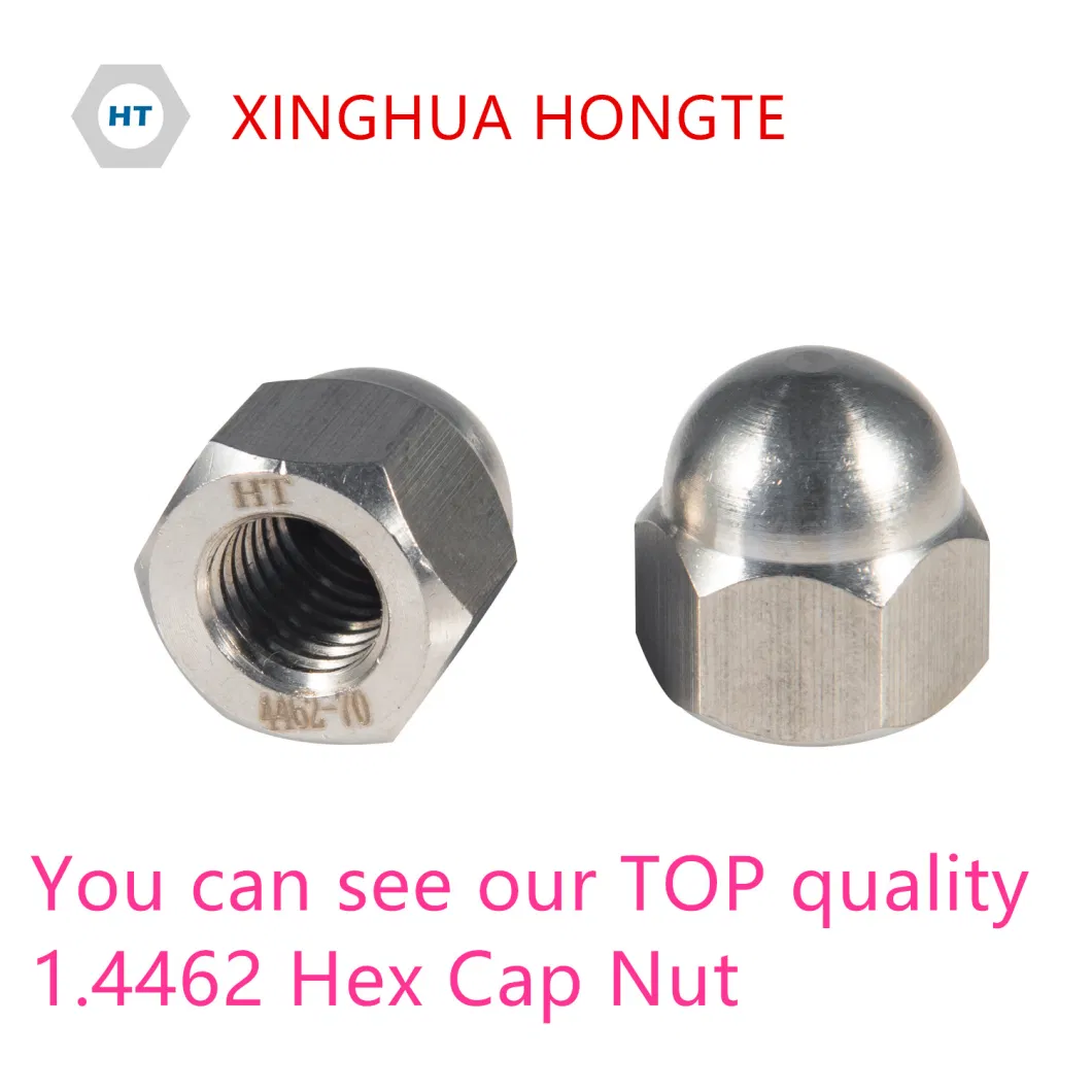Super Duplex2205 2507 1.4410 1.4462 Nylock Nut Prevailing Torque Type Hexagon Hex Thin Nut with Nonmetallic Insert