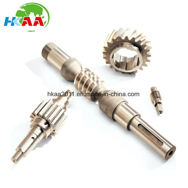 Stainless Steel Worm Shaft, Brass Worm Gear Made in China