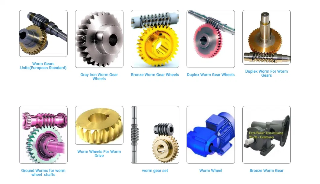 High Quality Plastic Straight Helical Forged Bevel Gears Precious Mechanical Bevel Gear Manufacturer Factory