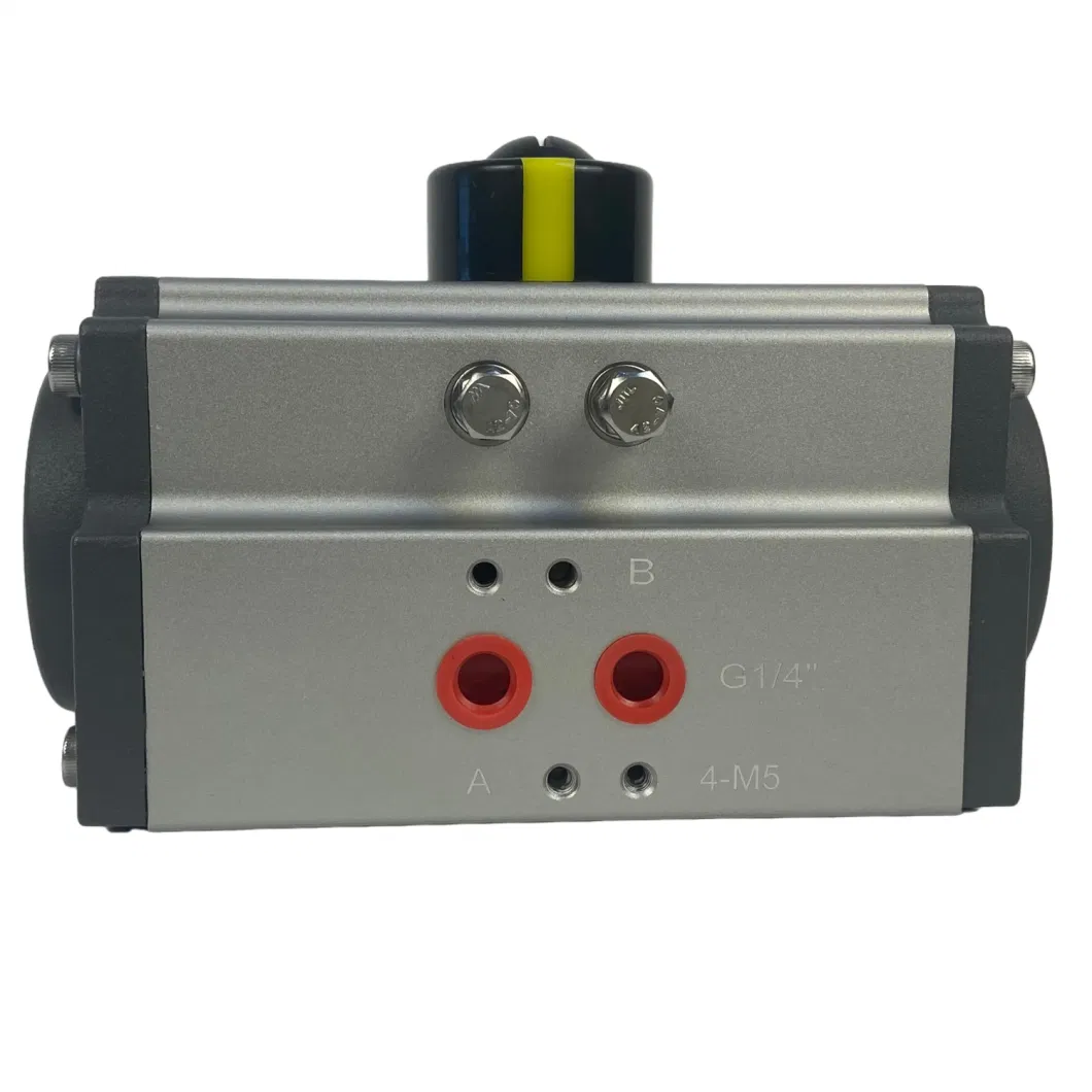 0-90 Degree Hard Oxidation Rotary Pneumatic Valve Actuator