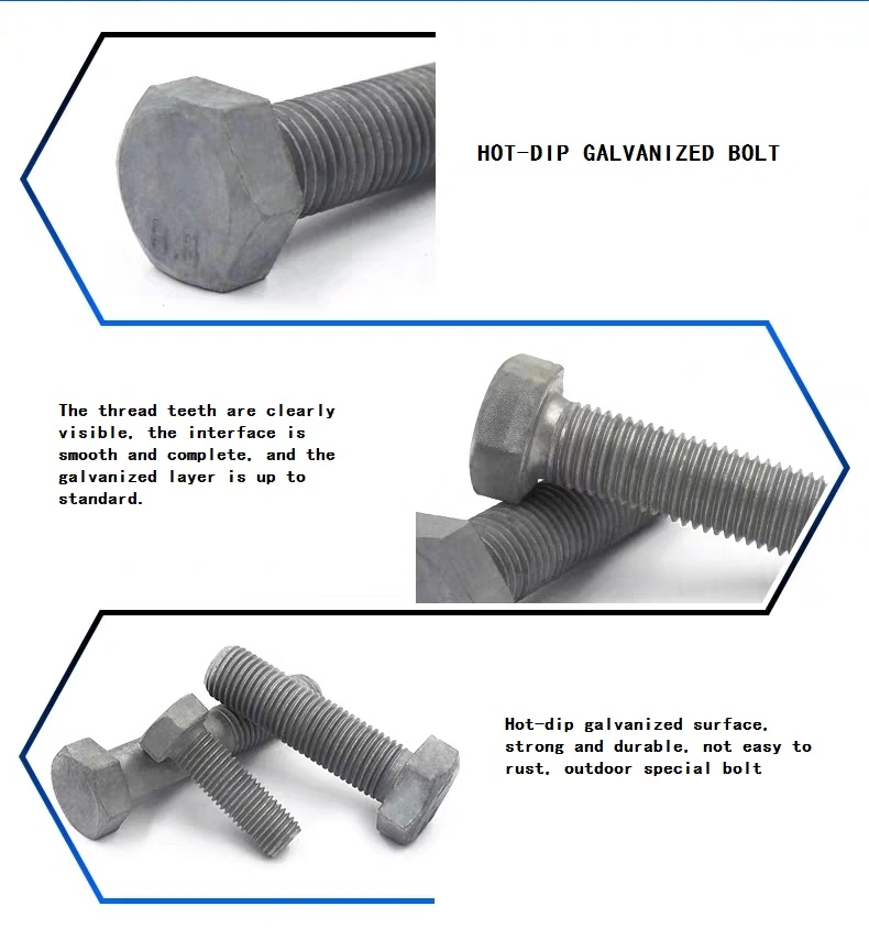 SS304 SS316 DIN933 Bolt and Nut Stainless Steel A2-70 A4-80 Hexagon Head Full Threaded Bolts and Hex Nut of Fasteners