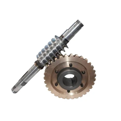 Motore passo-passo con corona in lega di ottone/rame/acciaio bronzo personalizzato di precisione coclea spazzaneve Ingranaggio elicoidale