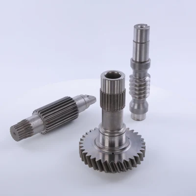 Motore passo-passo con corona in lega di ottone/rame/acciaio bronzo personalizzato di precisione coclea spazzaneve Ingranaggio elicoidale