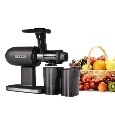 SJ-012 orizzontale perseguire frutta fresca gusto vegetale freddo Press lento Centrifuga per centrifuga per frutta
