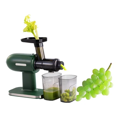 SJ-012 orizzontale perseguire frutta fresca gusto vegetale freddo Press lento Centrifuga per centrifuga per frutta