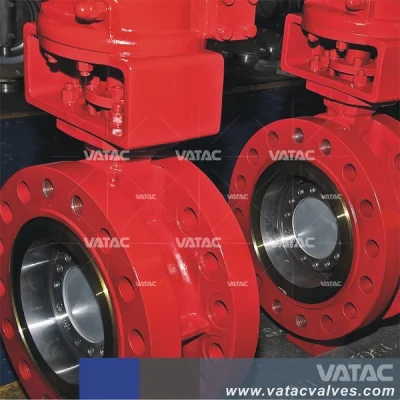 Valvola a farfalla in acciaio al carbonio con doppia flangia e doppio offset con ingranaggio C/W.