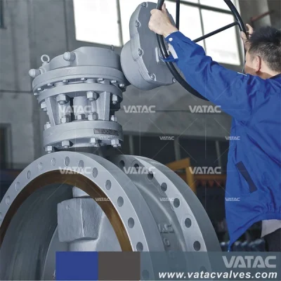 Valvola a farfalla in acciaio al carbonio con doppia flangia e doppio offset con ingranaggio C/W.