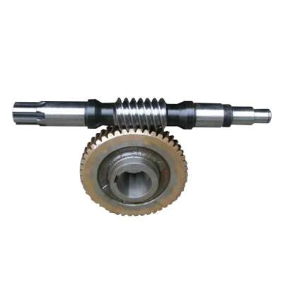 Motore passo-passo con corona in lega di ottone/rame/acciaio bronzo personalizzato di precisione coclea spazzaneve Ingranaggio elicoidale