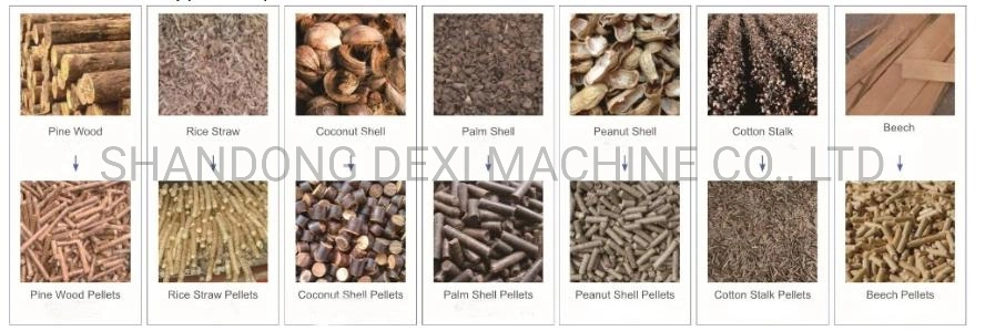 Skj2-B Flat Die Wood Pellet Mill with High Quality Motor Machine