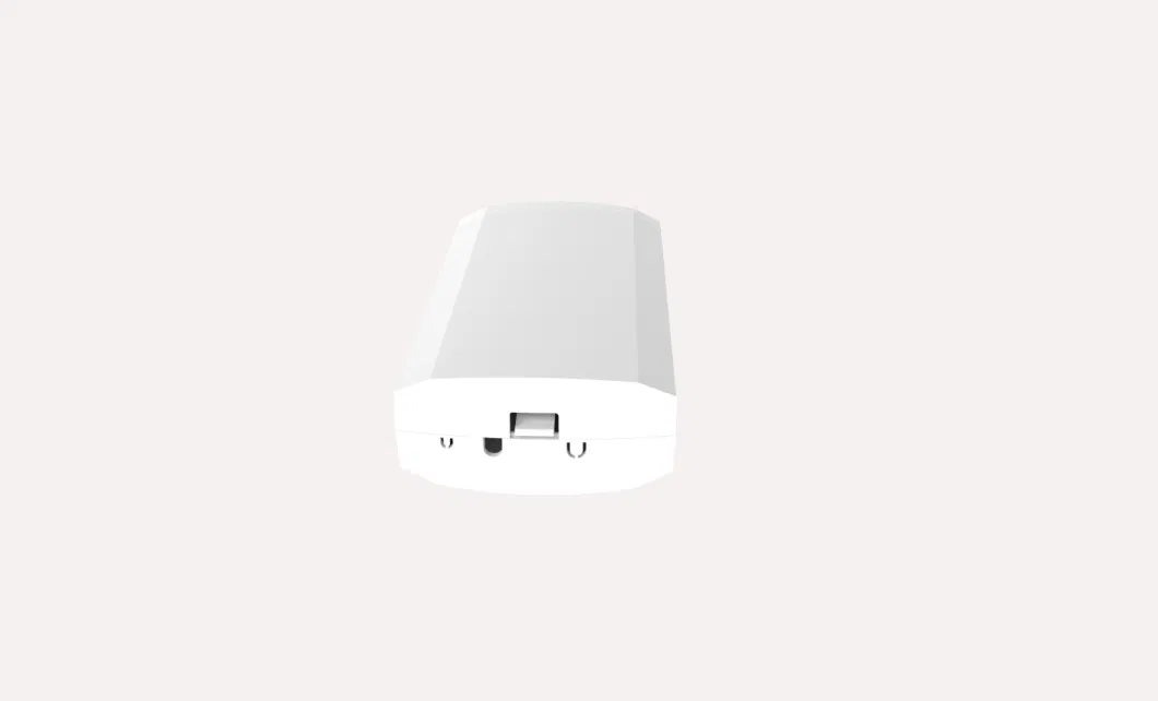 2.4GHz 300Mbps Mtk Outdoor Wireless CPE