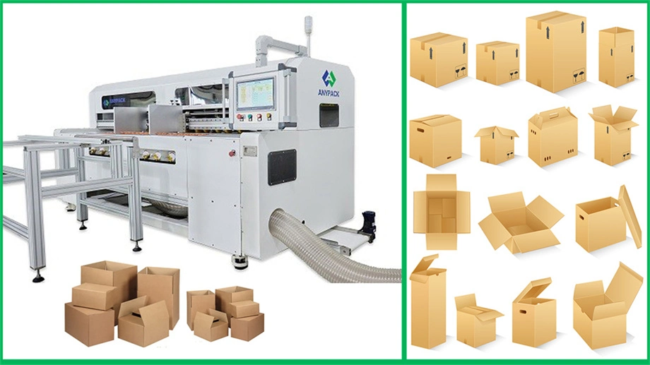 Anypack Multi Carton Box Styles Automatic Shipping Mini Cardboard Box Making Machine