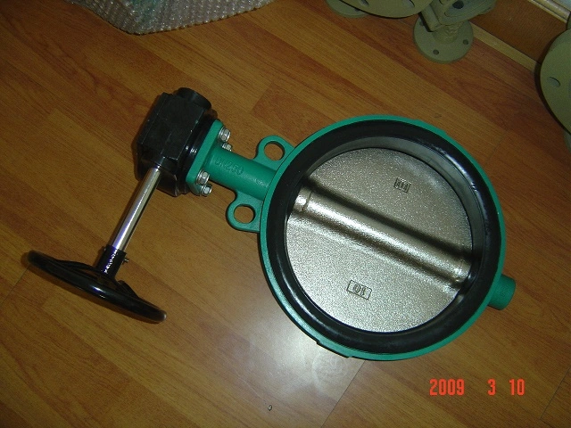 Carbon Steel Wafer Butterfly Valve with Gear Operator