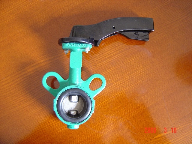 Carbon Steel Wafer Butterfly Valve with Gear Operator