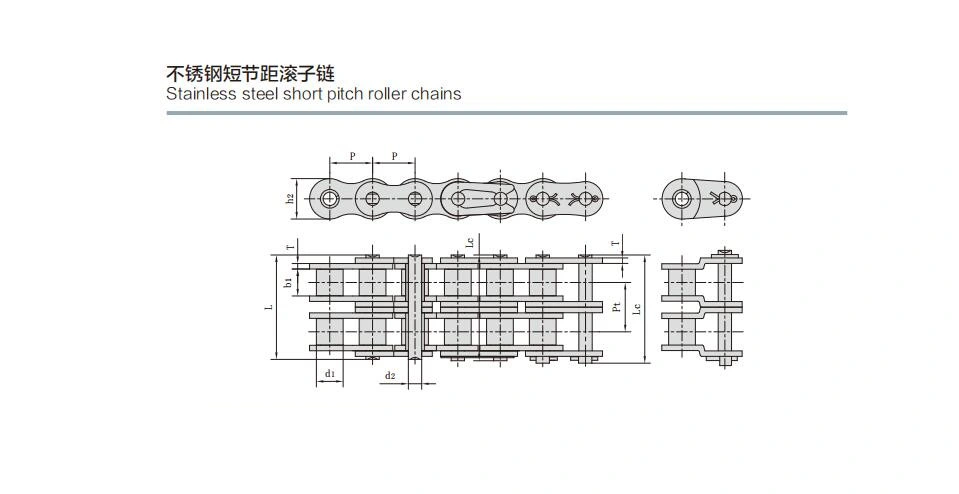 ANSI/ISO Standard Duplex 24bss-2 Stainless Steel Short Pitch Roller Chains Manufacturer