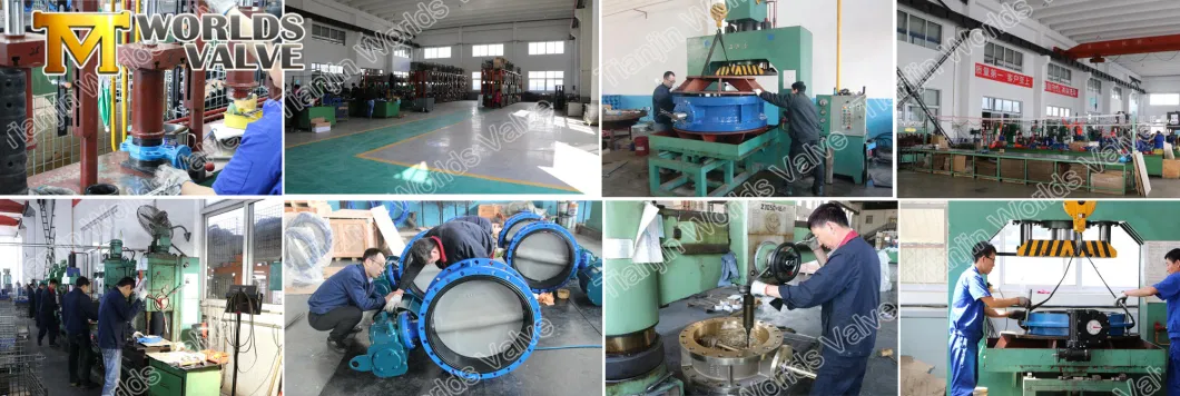 Cast Iron Wafer Lugged Butterfly Valves with Worm Gearbox Operator