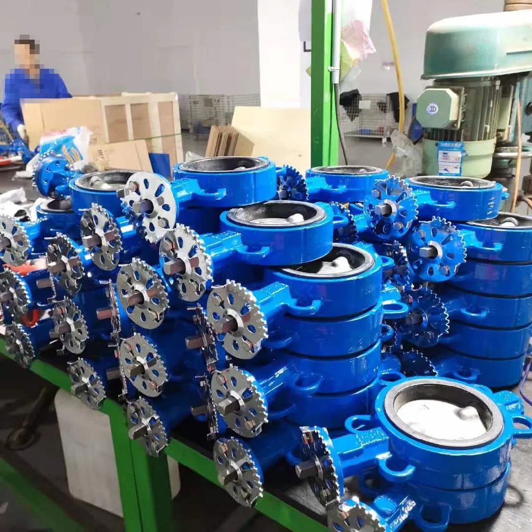 Wafer Type Gearbox Operated Ss 304/201/316 Disc Wafer JIS 10K Korea Standard Dk Butterfly Valves