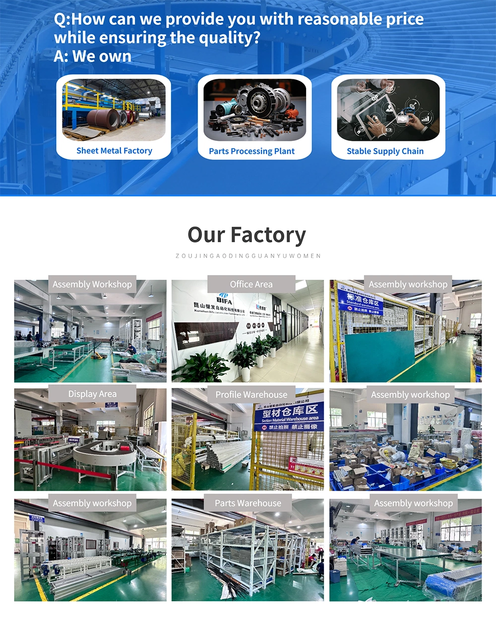 Bifa Factory Custom Automatic Operation Belt Conveyor, Flexible Chains Conveyor System