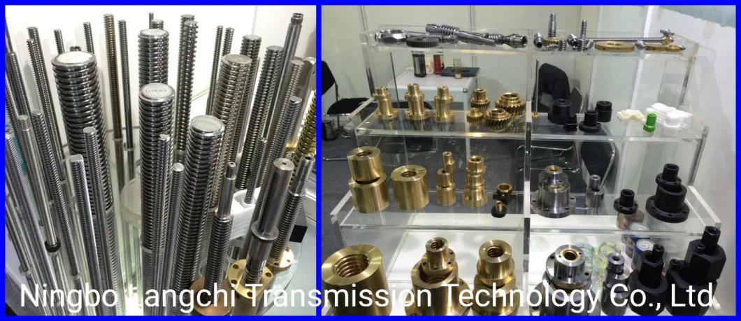 Transmission Parts Steel Bevel Worm Wheel Gear