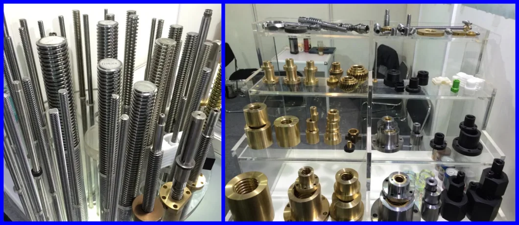 High Precision Transmission Parts Copper Wheel Nut Worm Gear