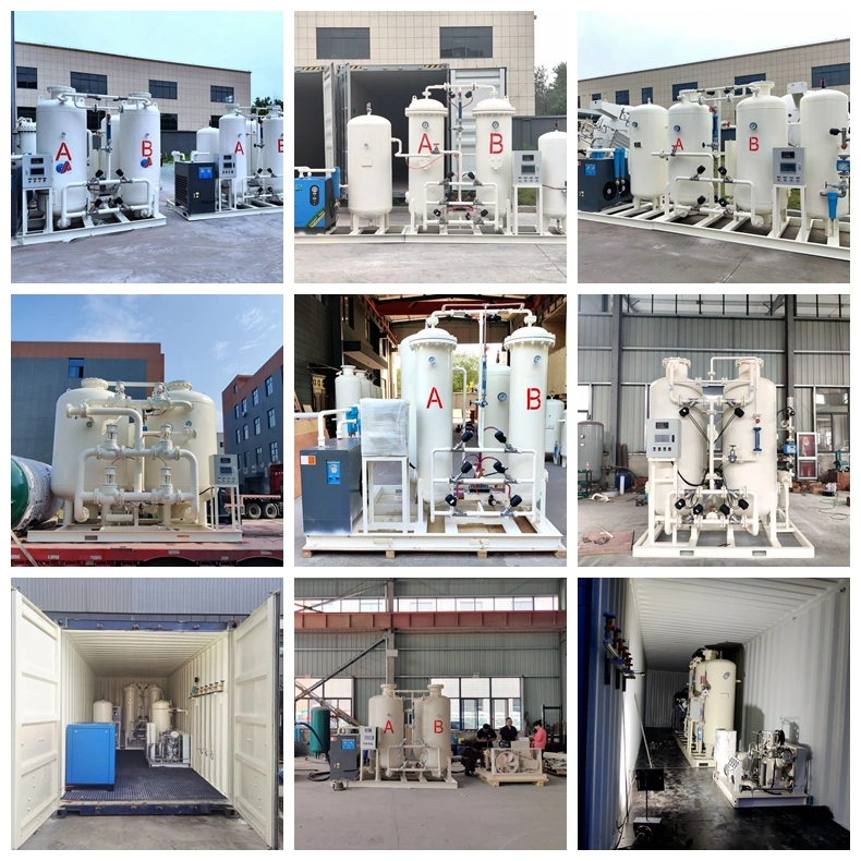 Nuzhuo Hot Sale Oxygen Plant Setup for Medical &amp; Industry with Competitive Price