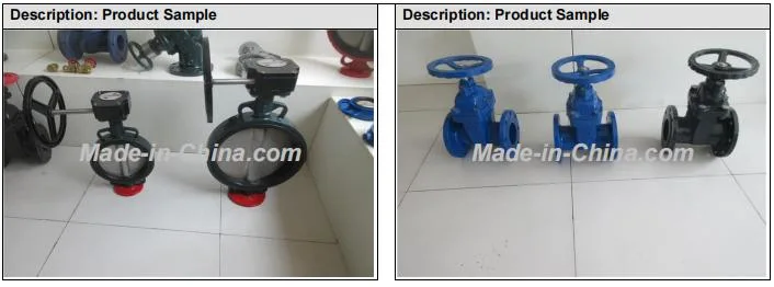 Concentric Soft Sealing Double Flanged Gearbox Operated Butterfly Valves