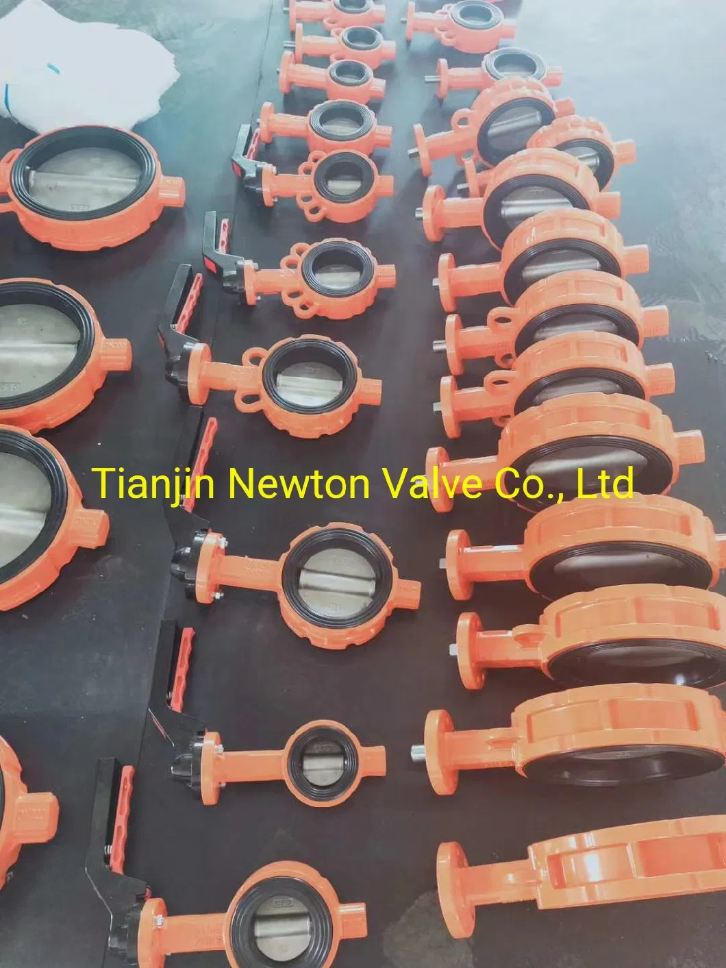 Ductile Cast Iron Carbon Steel Aluminium Alloy Al Bronze Duplex Stainless Steel Ggg40/50 Wcb A216 SS304 SS316 CF8 CF8m CF3 CF3m C954 ADC12 Butterfly Valve