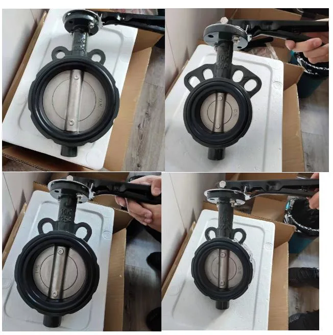 Concentric Flange Type 12 16 48 Inch DN 80 Resilient Seat Butterfly Valve with Gearbox Flange Butterfly Valve