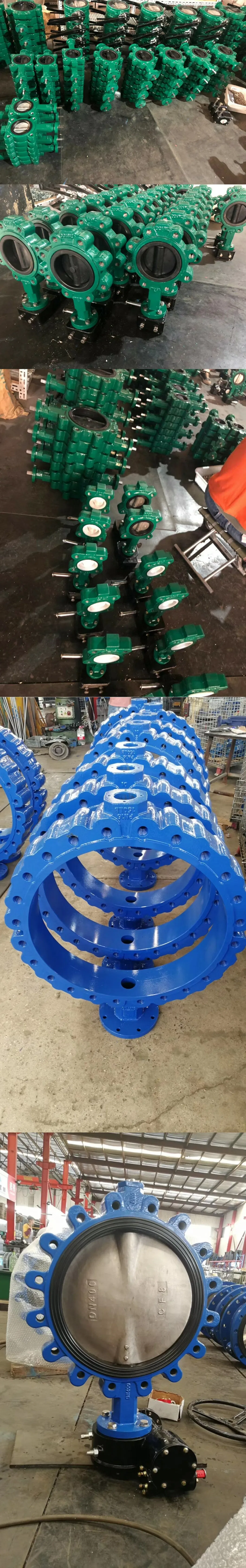 Ductile Cast Iron Wcb A216 SS304 SS316 Al Bronze Lug Type Butterfly Valve Pn6/Pn10/Pn16/ASME150/as Table D/E/JIS5K/JIS10K/JIS16K /JIS20K for Sea Water Marine