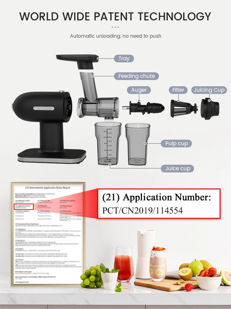 Sj-012 Horizontal Pursue Fresh Taste Fruit Vegetable Cold Press Slow Fruit Juicer Processing Machine Juicer