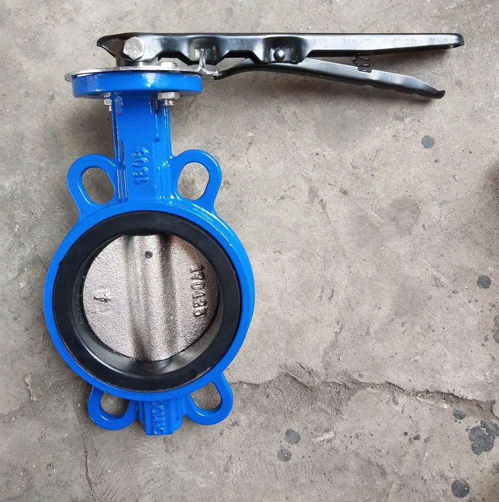 Concentric Flange Type 12 16 48 Inch DN 80 Resilient Seat Butterfly Valve with Gearbox Flange Butterfly Valve