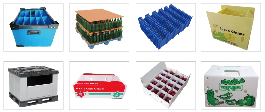Low Cost PP Hollow Sheet Machine Recycled Plastic Board Fruit Packing Boxes