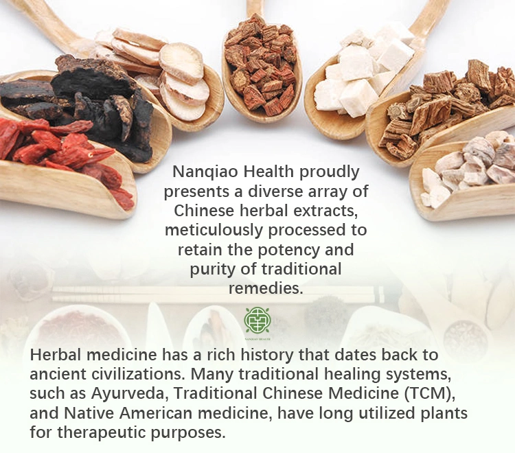 Nanqiao Organic Natural Chinese Medicine Herbal Honeysuckle Dried Flower Buds Herbal Tea Lonicera Japonica Honeysuckle
