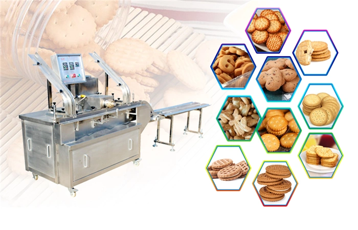 Popular and Good Taste Small Chocolate Biscuit Making Machine Soft and Hard Biscuit Making Machine