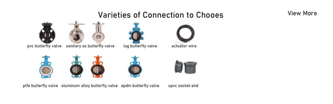 2 Way SS304 Motorized Valves 220V Flow Control Valve Electric Actuator Motor Operated Automatic Actuator Ball Valve