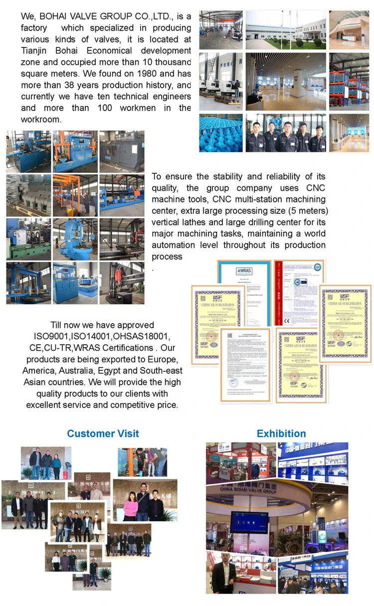 Ductile Iron/Wcb/Stainless Steel Industrial Control Lugged Type Wafer Butterfly Valve