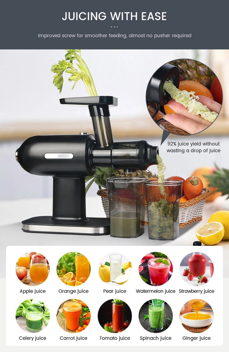 Sj-012 Horizontal Pursue Fresh Taste Fruit Vegetable Cold Press Slow Fruit Juicer Processing Machine Juicer