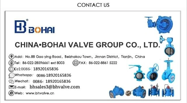 Gear Operator Non-Rising Stem Gate Valve