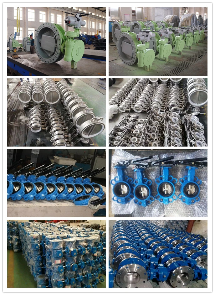 Wafer Type Gearbox Operated Ss 304/201/316 Disc Wafer JIS 10K Korea Standard Dk Butterfly Valves