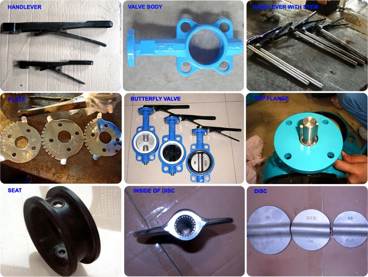 Double Flange Butterfly Valve with Gear Box