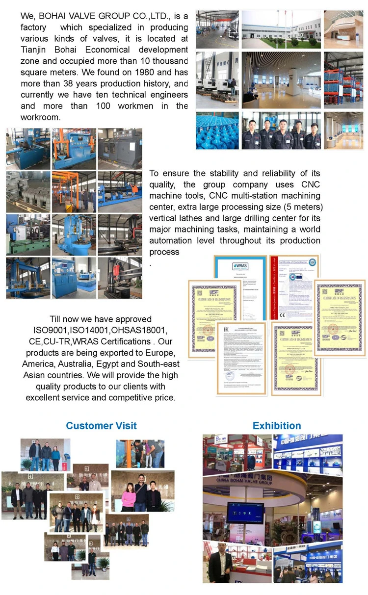 Ductile Iron Material Lugged Wafer Butterfly Valve