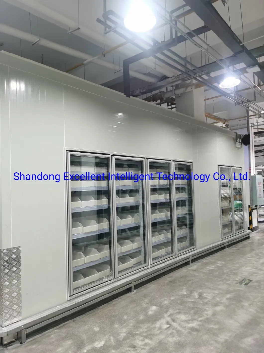 Customized Refrigeration Store Enters Refrigeration Room Freezer Fresh Fruits and Vegetables