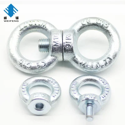  China Bulk Packing Q235 DIN582 DIN580 Ring Screw