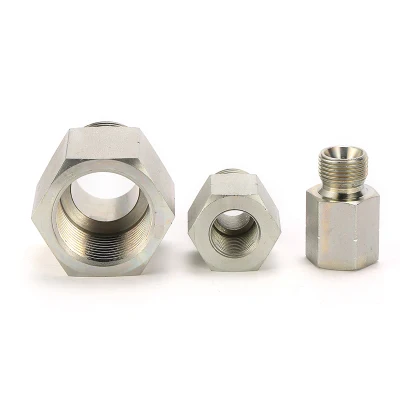  Bsp Pressure Gauge Connector with Dki Sealing Ring (P5CB/5DB-GDK)